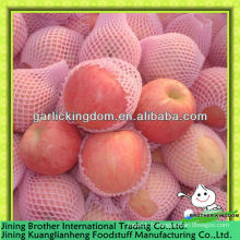 Chine exportateur de pomme de fuji
